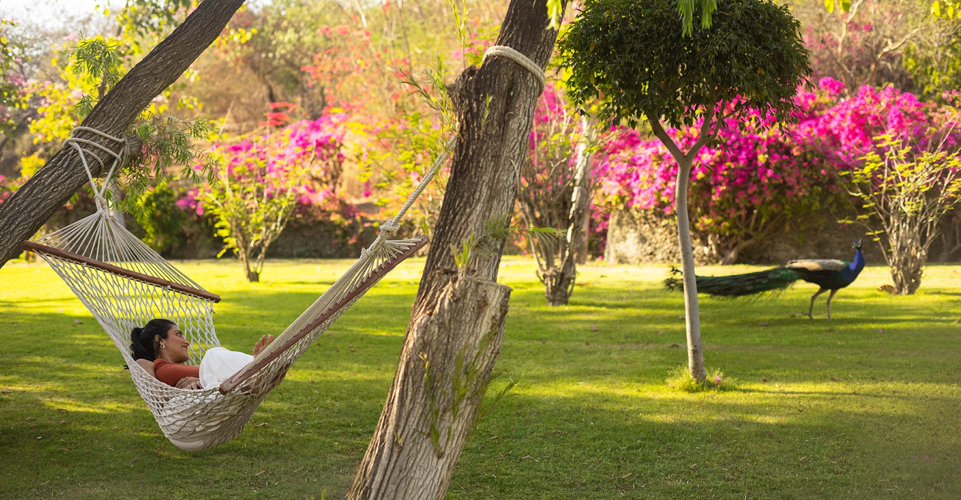 Lush green garden area at Trident Udaipur, a 5 star hotel in Udaipur ideal for peaceful walks and relaxation.